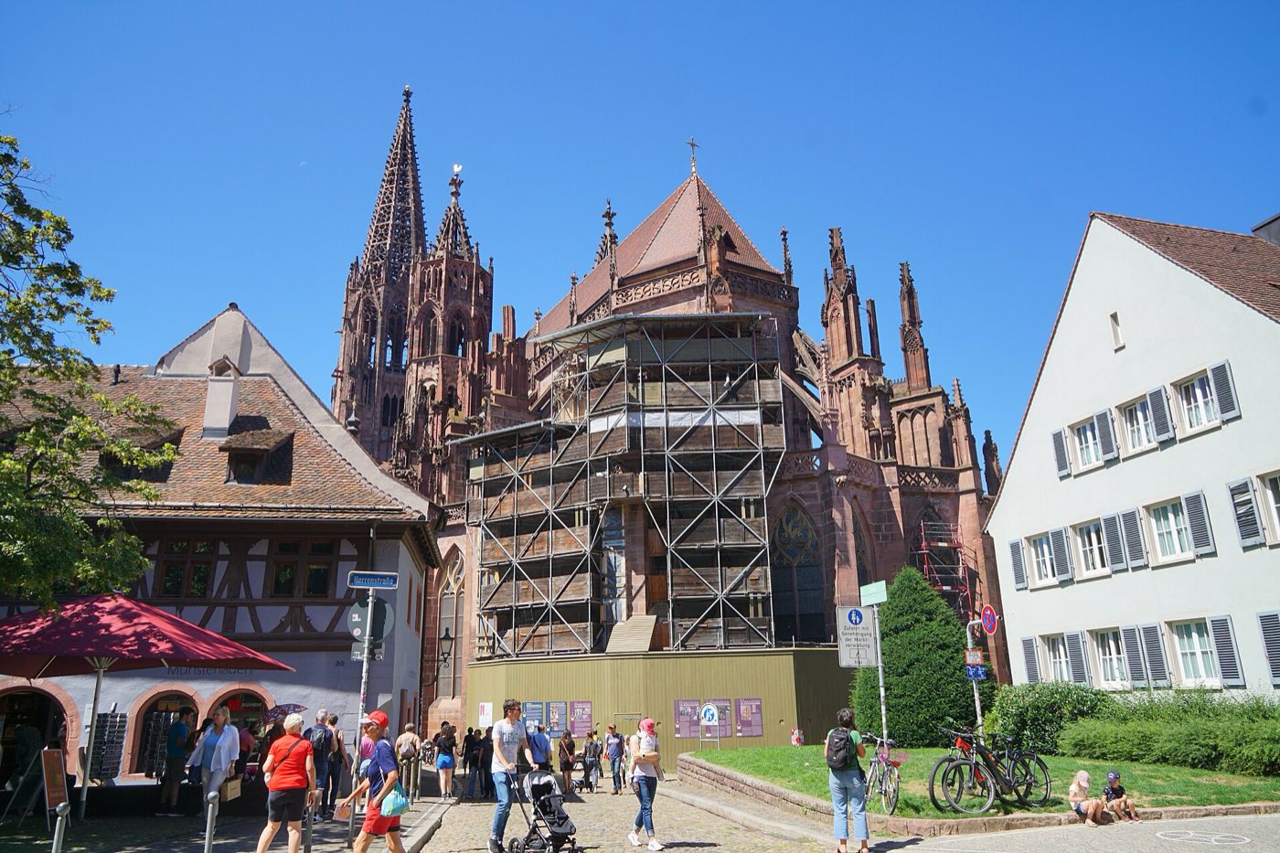 Freiburger Münster in der Altstadt